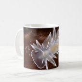 Alabaster Nudibranch - Mokken (Voorkant links)