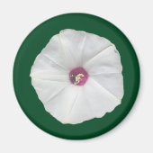 Alamo Vine Magneet (Voorkant)