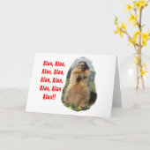 Alan Alan Alan Kaart (Gele Bloem)