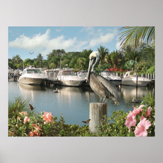 Alan Giana "Pelican Cove" Poster (Voorkant)