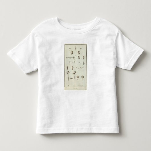Alaska 3 kinder shirts (Voorkant)