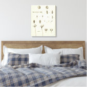 Alaska 5 canvas afdruk (Insitu (Slaapkamer))