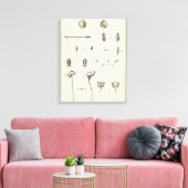 Alaska 5 canvas afdruk (Insitu (Woonkamer))