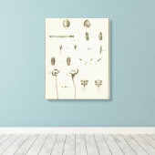 Alaska 5 canvas afdruk (Insitu (Houten vloer))