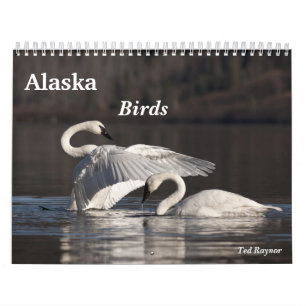 Alaska Birds Kalender