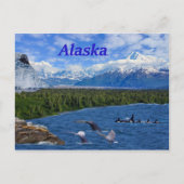 Alaska Briefkaart (Voorkant)