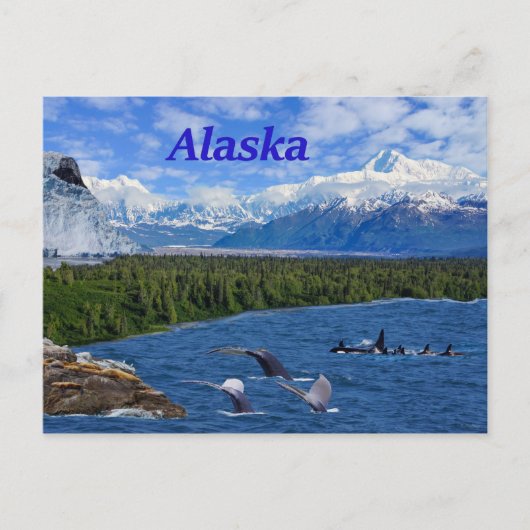 Alaska Briefkaart (Voorkant)