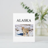 alaska briefkaart (Staand voorkant)