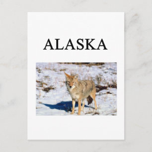 alaska briefkaart