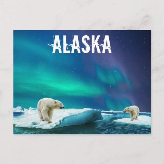 Alaska Briefkaart met Polar Beren Aurora Borealis (Voorkant)