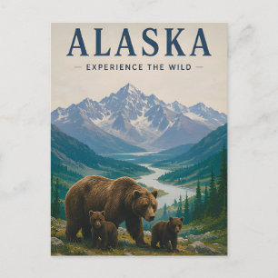 🐻 Alaska Bruine Beer Berg Wilderness 🏔️ Briefkaart