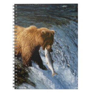 Alaska bruine beer vangt zalm bij Brooks Notitieboek