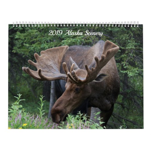Alaska Calendar - Beschikbaar voor elk jaar! Kalender (Hoes)