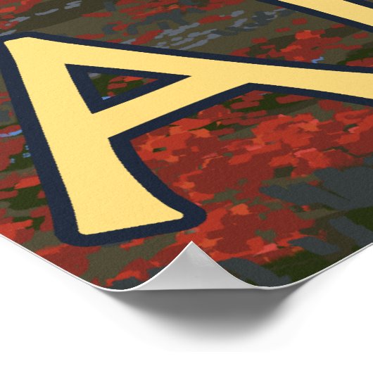 Alaska - Cariou Poster (Hoek)