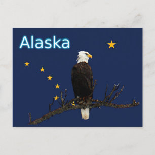 Alaska Eagle en Flag Briefkaart