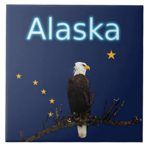 Alaska Eagle en Flag Tegeltje
