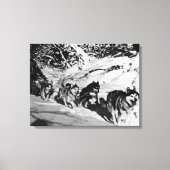 Alaska eskimo Malamute sled race Canvas Afdruk (Voorkant)