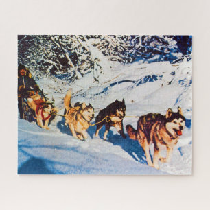  Alaska eskimo Malamute sled race Legpuzzel