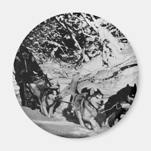 Alaska eskimo Malamute sled race Magneet (Voorkant)