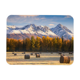 Alaska Farming Magneet