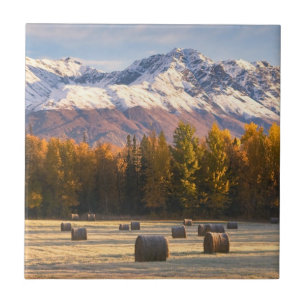Alaska Farming Tegeltje