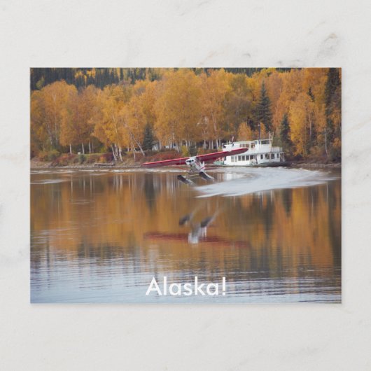 Alaska, Floatplane, Riverboat, Birchbomen in Herfs Briefkaart (Voorkant)