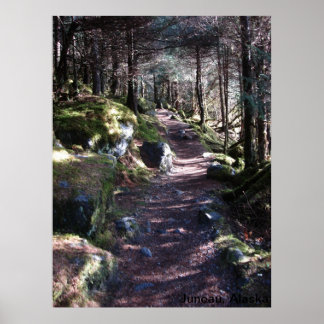 Alaska Forest Trail Poster