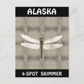 Alaska Four Spot Skimmer Dragonfly Briefkaart