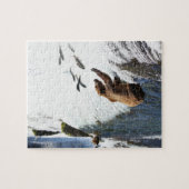 Alaska - Grizzly 1 Legpuzzel (Horizontaal)