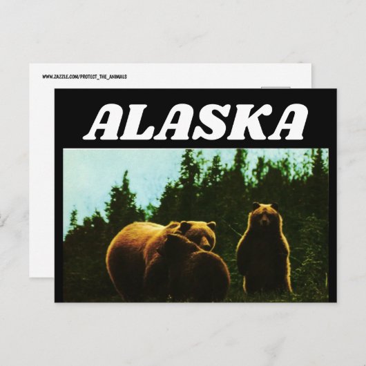 ALASKA GRIZZLY BEER BRIEFKAART (Voorkant / Achterkant)