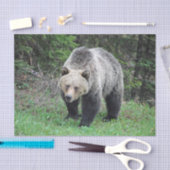 Alaska Grizzly Beer Wildlife Foto Tissuepapier (Craft)