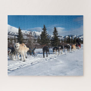 Alaska Husky Dog Sled Race Legpuzzel
