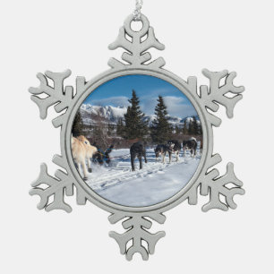 Alaska Husky Dog Sled Race Tin Sneeuwvlok Ornament