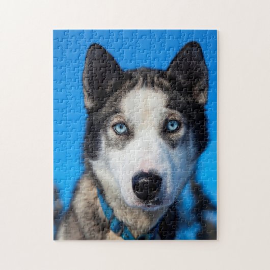Alaska Husky. Legpuzzel (Verticaal)