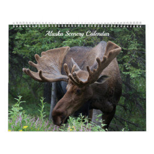 Alaska Kalender - Beschikbaar voor elk jaar!