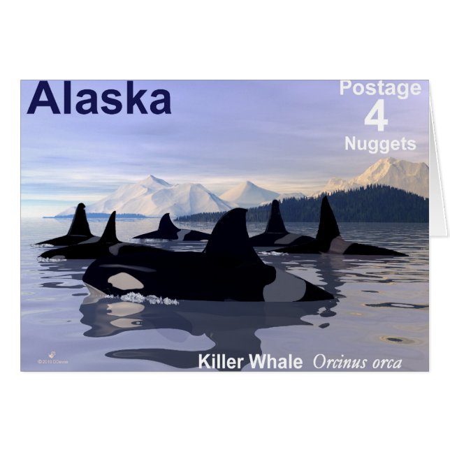 Alaska Killer Whales Stamp (Voorkant Horizontaal)