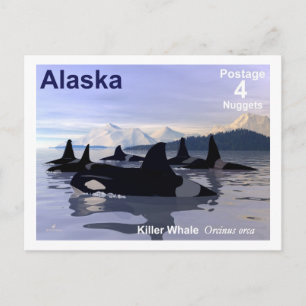 Alaska Killer Whales Stamp Briefkaart