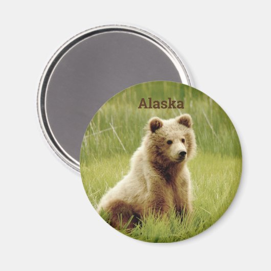 Alaska Magnet met grizzly beer cub. Magneet (Voorkant / Achterkant)