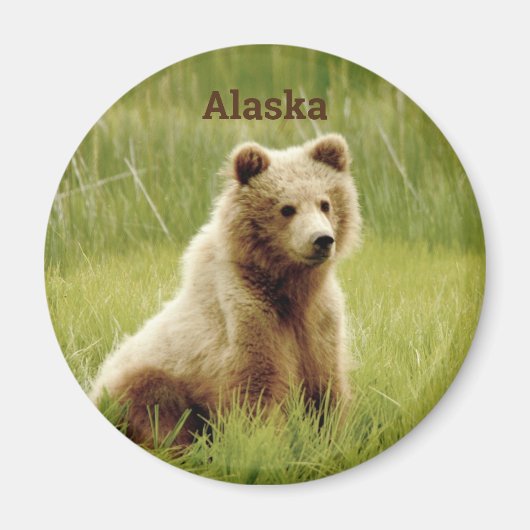 Alaska Magnet met grizzly beer cub. Magneet (Voorkant)
