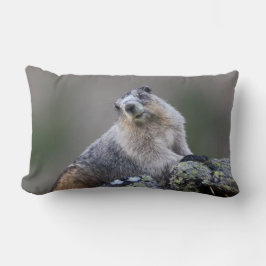 alaska marmot kussen