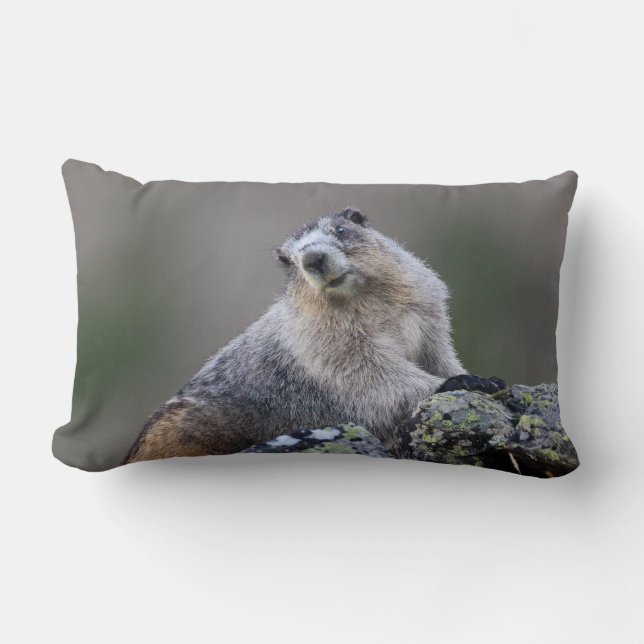 alaska marmot kussen (Voorkant)
