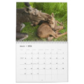 Alaska Moose Kalender (Mar 2026)