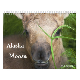 Alaska Moose Kalender
