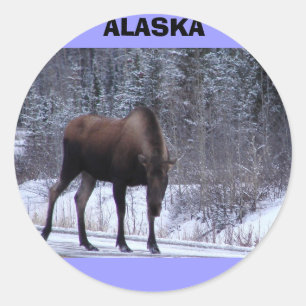 Alaska Moose Ronde Sticker