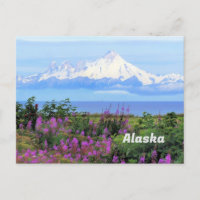 Alaska, Mount Iliamna Glacier en Fireweed Flowers