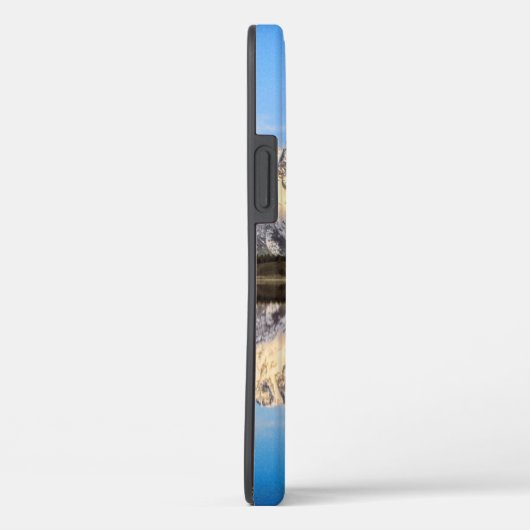 Alaska Mountains Reflection Case-Mate iPhone Case (Achterkant / Rechts)