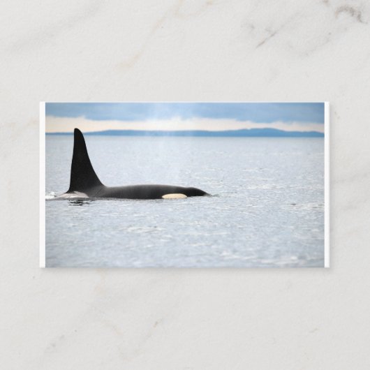 Alaska - Orca Visitekaartje (Voorkant)