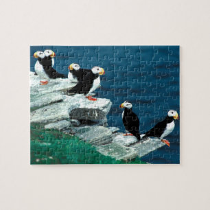 Alaska Puffins verweerde kleurrijke vogels Legpuzzel