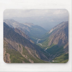Alaska Range Mountains, Alaska, Verenigde Staten Muismat
