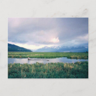 Alaska Sanctuary Briefkaart